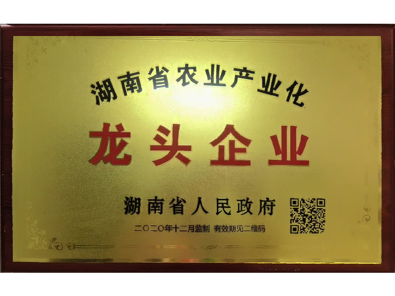 岳陽市漁之源食品有限公司,岳港漁都,洞庭魚港,散稱系列,田螺系列,臭豆腐加工，香豆腐加工，烤脖加工，魚仔,鴨排加工、雞丁加工代加工